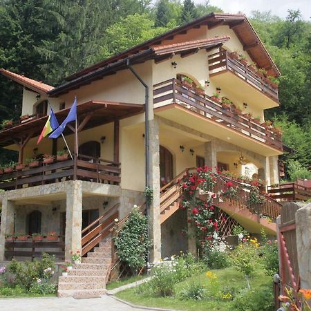 Casa Anca Boutique Hotel Timisu de Jos Luaran gambar