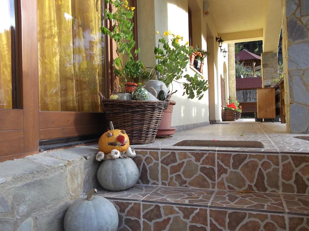 Casa Anca Boutique Hotel Timisu de Jos Luaran gambar
