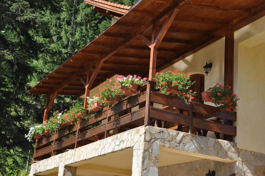 Casa Anca Boutique Hotel Timisu de Jos Luaran gambar